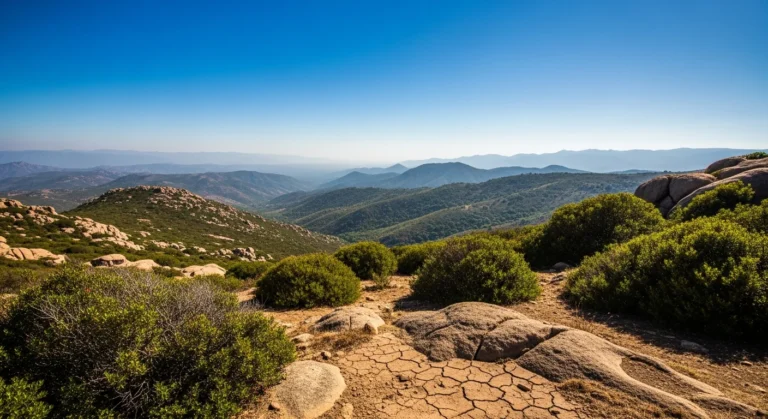 Canicola in Corsica: “Il 2026 sarà un oracolo”, l’allarme dei meteorologi